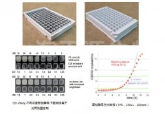 Growth Profiler 多孔板
